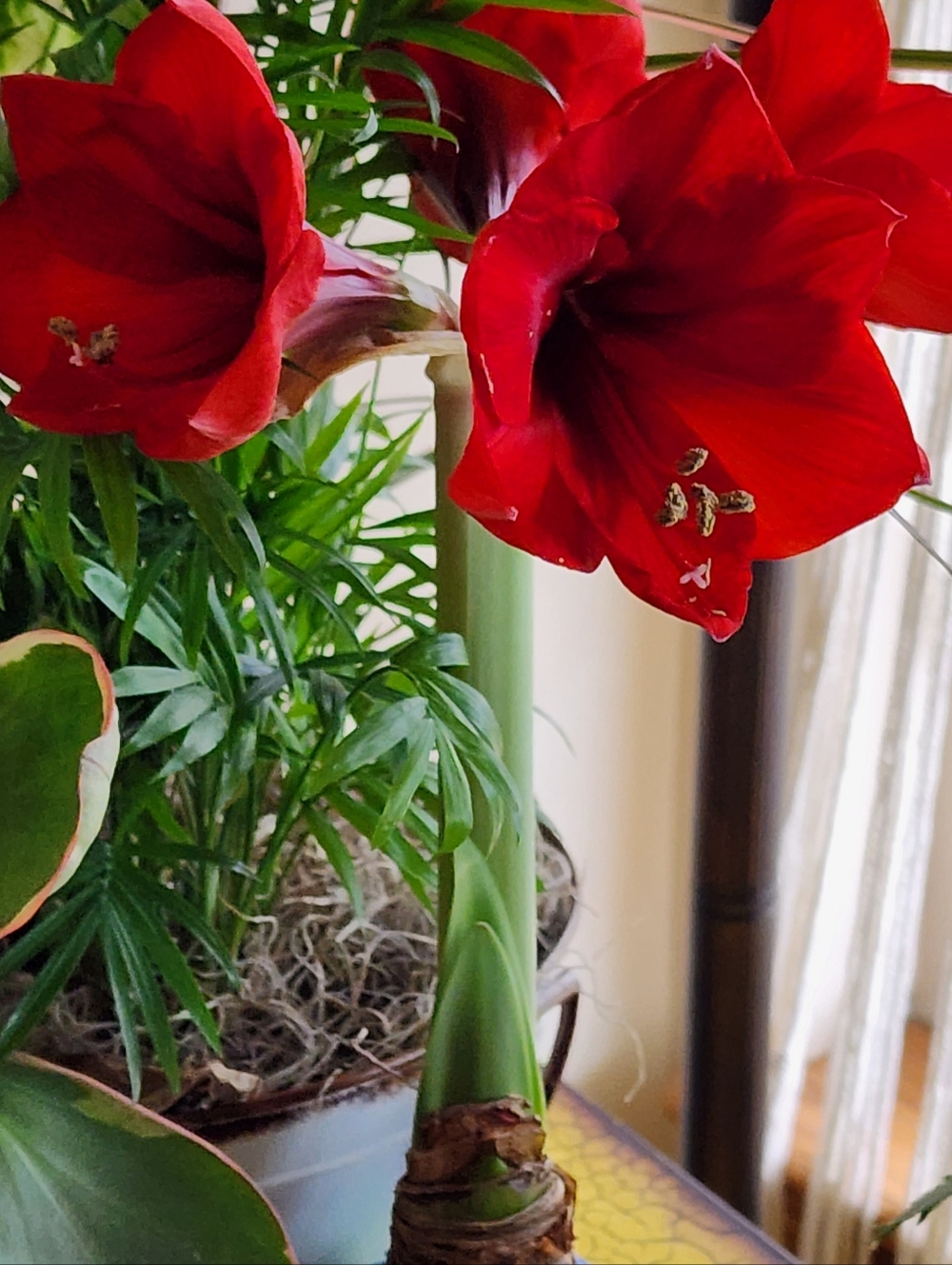 Poshing difficulty